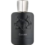 Shop Carlisle EDP for Men by Parfumes De Marely, 125 ml in Canada|Buy Carlisle EDP for Men by Parfumes De Marely, 125 ml in Canada|Luxury Perfumes and fragrances in Canada