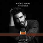 Shop Encre Noir A L'extreme EDP for Men by Lalique, 100 ml in Canada|Buy Encre Noir A L'extreme EDP for Men by Lalique, 100 ml in Canada|Luxury Perfumes and fragrances in Canada