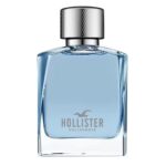 Shop Wave For Him EDT for Men by Hollister, 100 ml in Canada|Buy Wave For Him EDT for Men by Hollister, 100 ml in Canada|Luxury Perfumes and fragrances in Canada